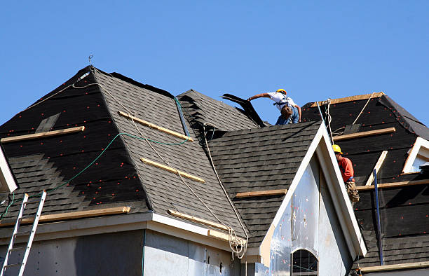 Best Roof Insulation Installation  in Prospect Heights, IL