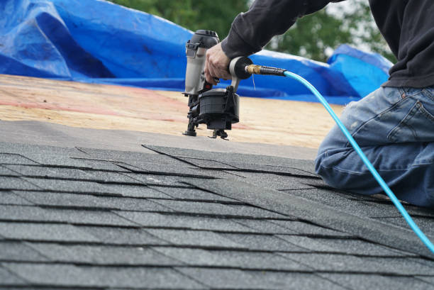 Best Roof Coating Services  in Prospect Heights, IL