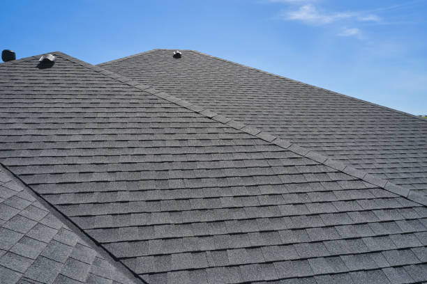 Best Roof Maintenance and Cleaning  in Prospect Heights, IL